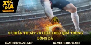 5 chiến thuật cá cược hiệu quả trong bóng đá