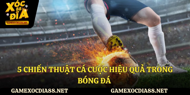 5 chiến thuật cá cược hiệu quả trong bóng đá