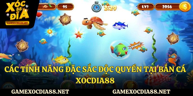 Các tính năng đặc sắc độc quyền tại bắn cá Xocdia88